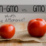 GMO vs. Non-GMO: What Is the Difference Anyway?