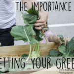 Luck of the Irish! The Importance of Getting your Greens