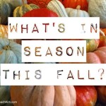 What’s In Season this Fall?