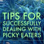 Happy Holidays: Tips for Successfully Dealing with Picky Eaters of All Ages